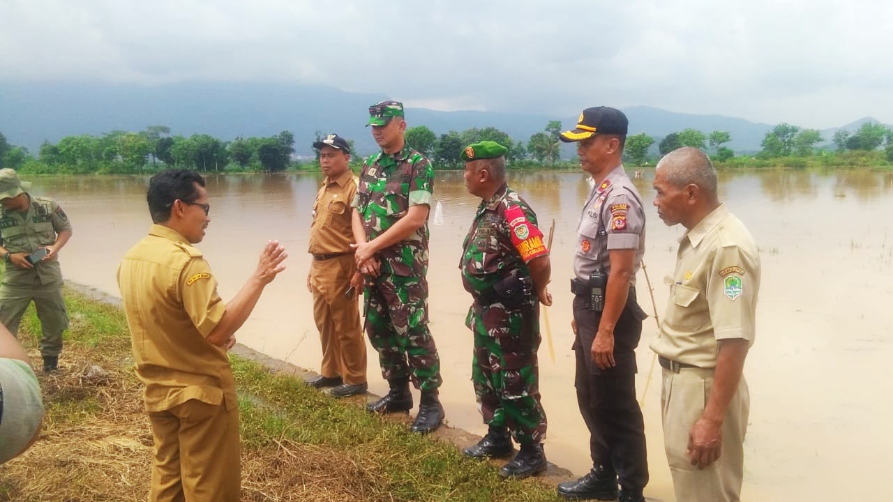 Petani Rugi Rp1,5 Miliar, Puluhan Ha Sawah Terendam banjir