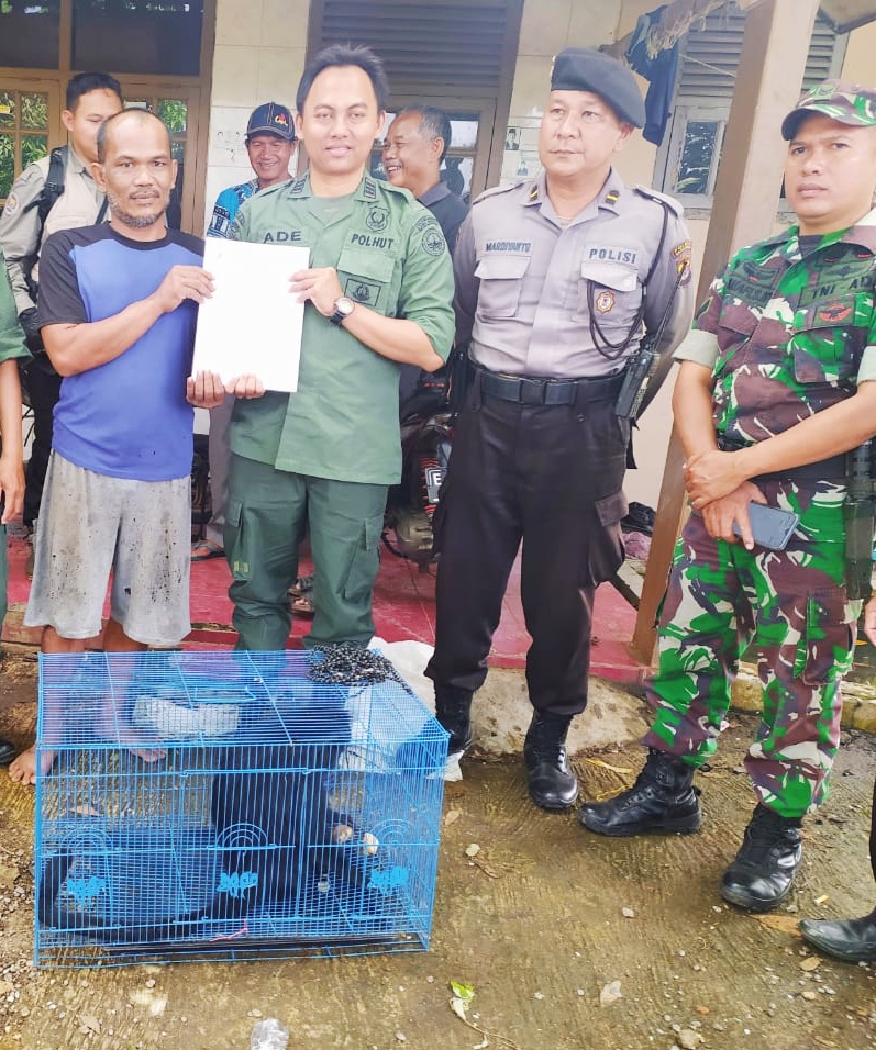 Warga Cicalung Serahkan Lutung Jawa