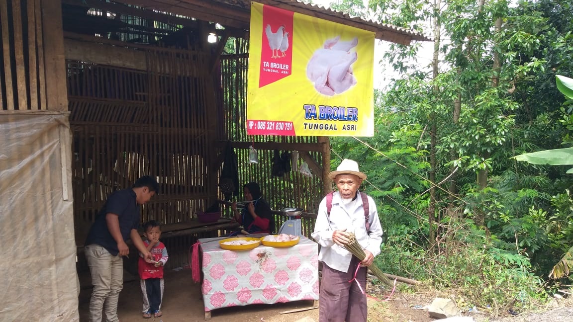 Peternak Ayam Berharap Bantuan