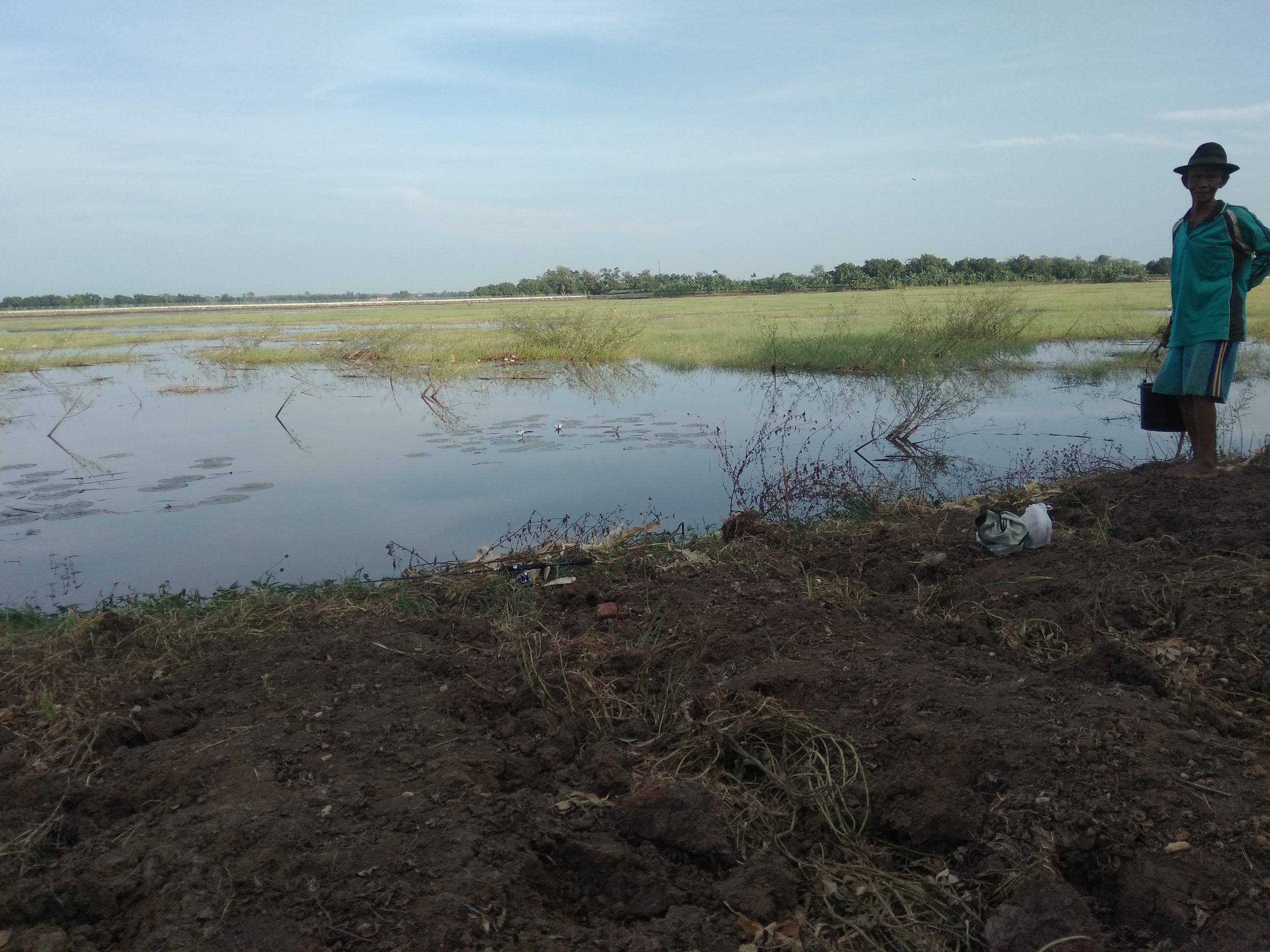 Air Rawa Jadi Andalan Petani