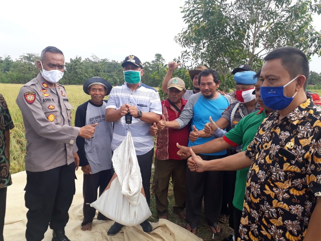 Hasil Panen Petani Panongan Meningkat