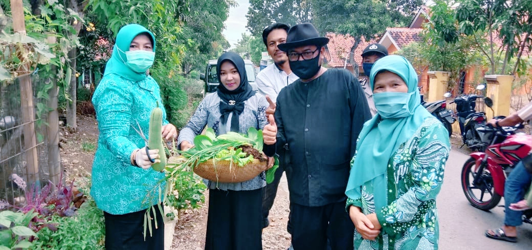 Istri Bupati Panen Sayuran di Majasari