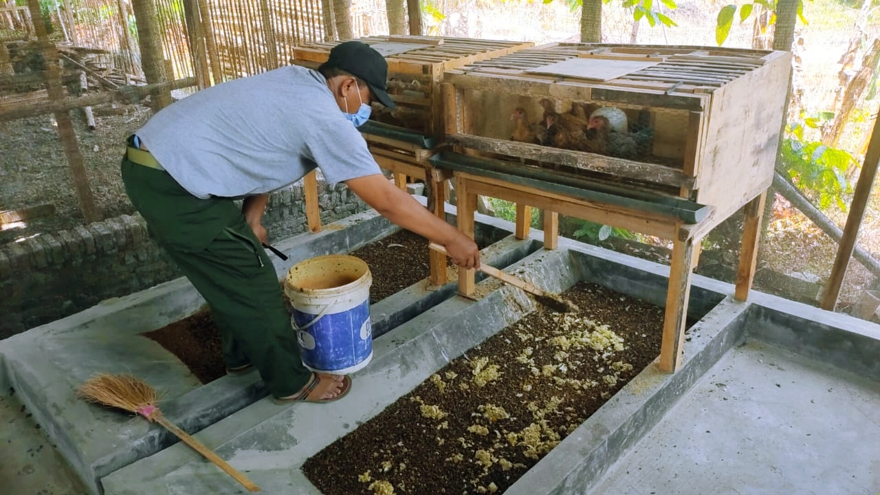 Ulat Maggot Pengurai Sampah Organik