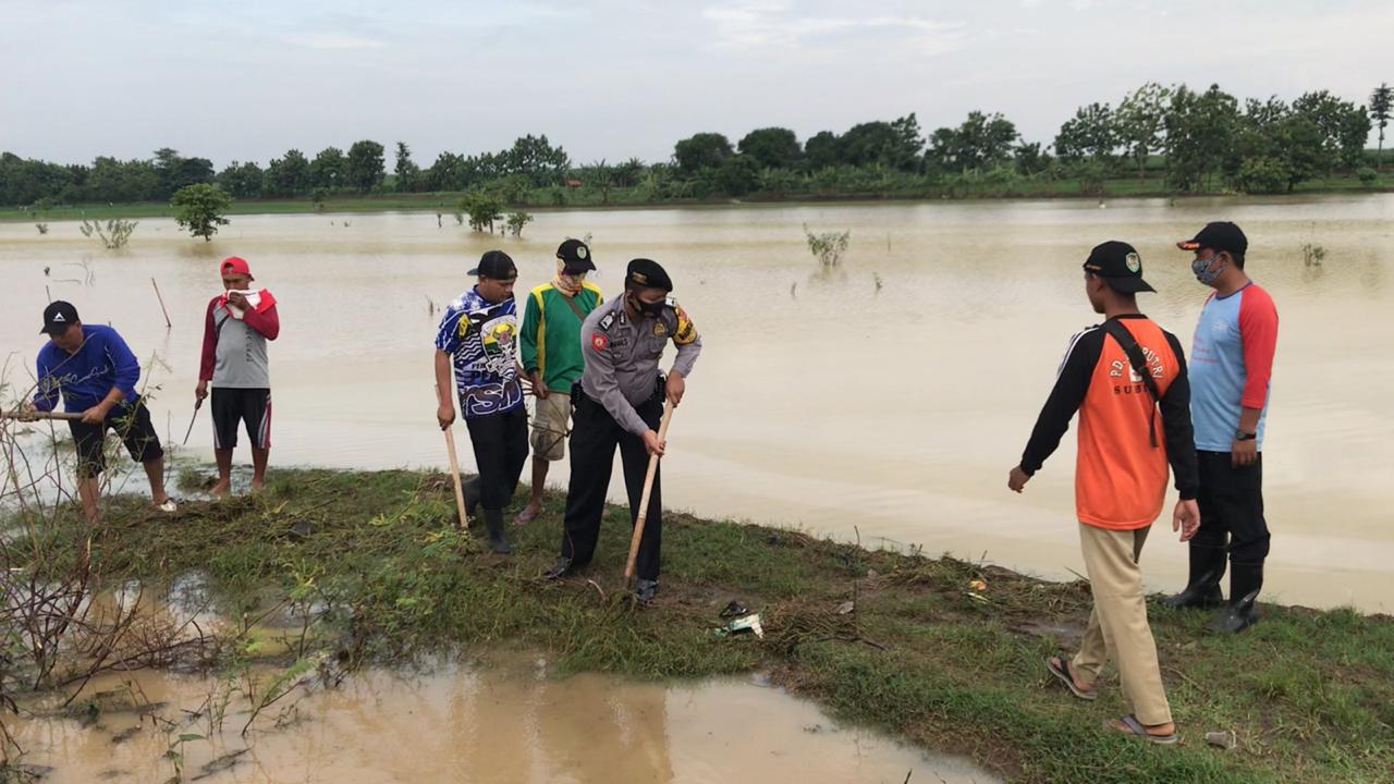 Ratusan Hektare Sawah Terendam, Padi yang Baru Ditanam Rusak