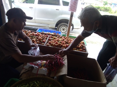 Petani Sayuran Ketiban Untung