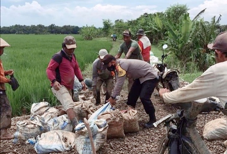 Gotong Royong Bangun Tanggul