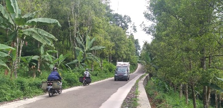 Belum Musim Panen, Warga Manfaatkan Daun Cengkih