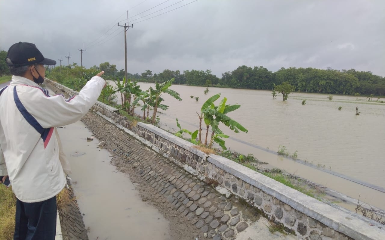 1.620 Hektare Sawah Terancam Gagal Tanam