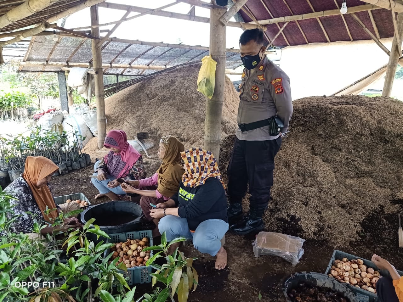 Polsek Kunjungi Petani Bibit Tanaman