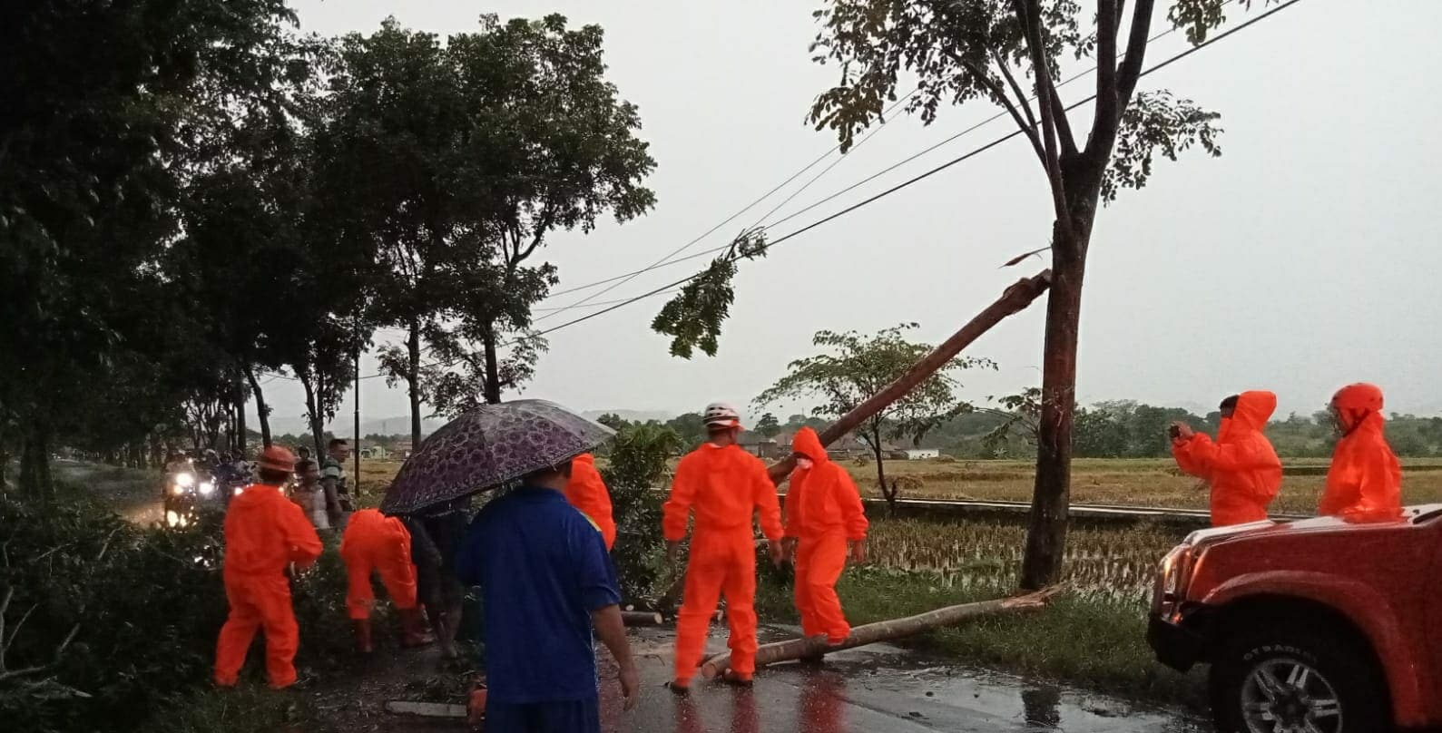 Waspada Hujan Deras Disertai Angin Kencang