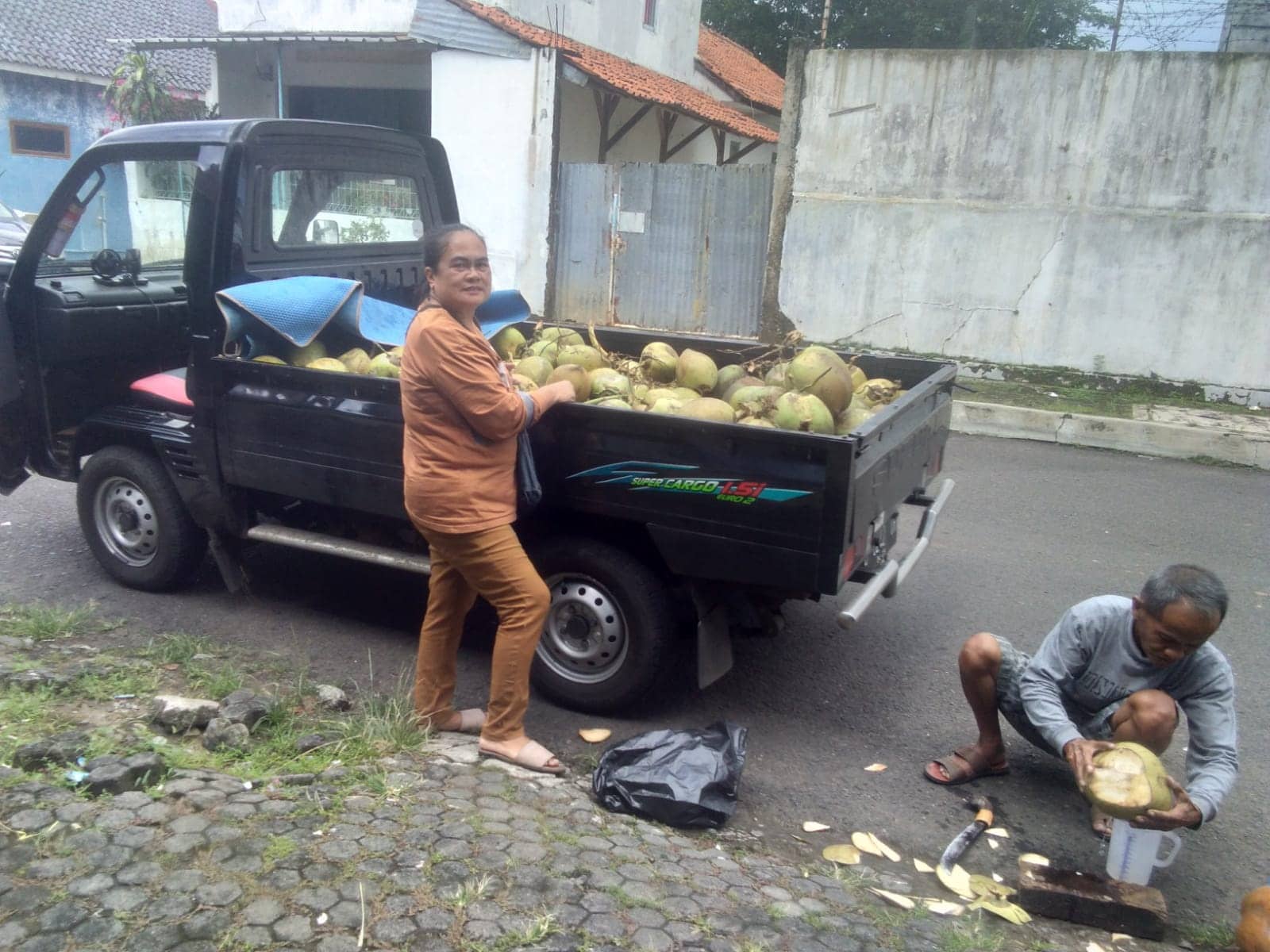 Beli Langsung di Bandar Kelapa Muda Rp7 Ribu